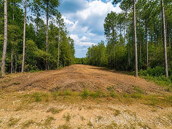 2nd image of 9500 Carter Ranch Rd