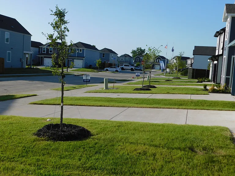 7011 Jessamine Dr — Photo 3