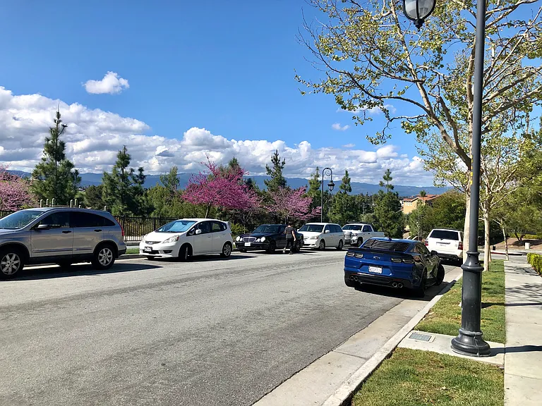 2221 Golden Crest Cmns — Photo 15