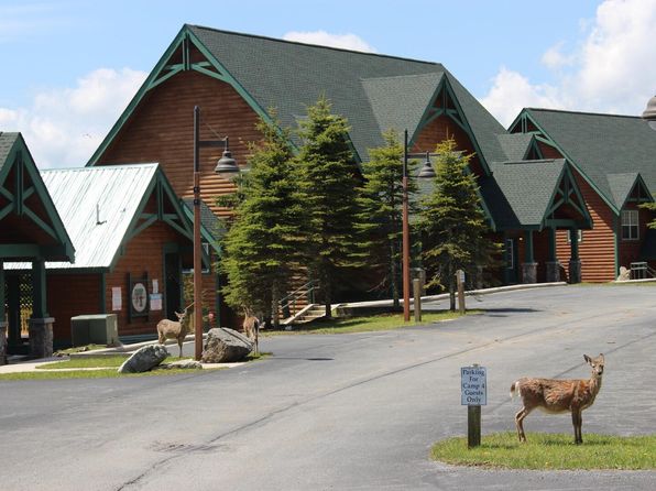4 28th Cp, Snowshoe, WV 26209