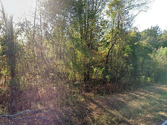 5th image of 590 Carters Gin Rd