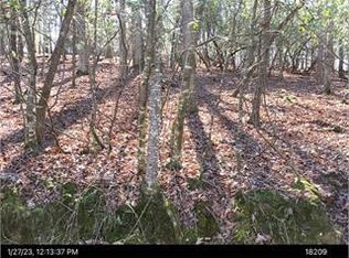 0 Zenith Trl #384, Ellijay, GA 30540