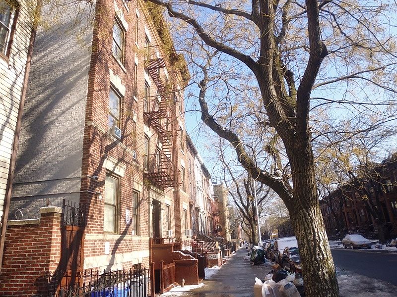 1st image of 251 Clifton Pl APT 3