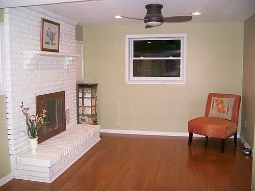 Basement w/Fireplace