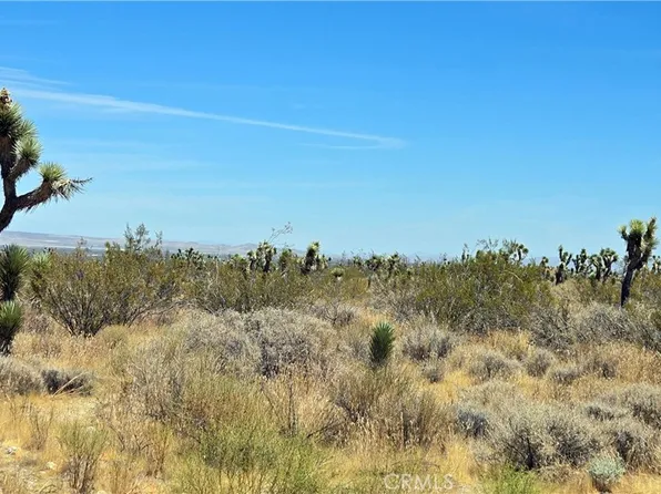 0 Vicinity Avenue & 231st E Lot 33 #X4, Llano, CA 93544