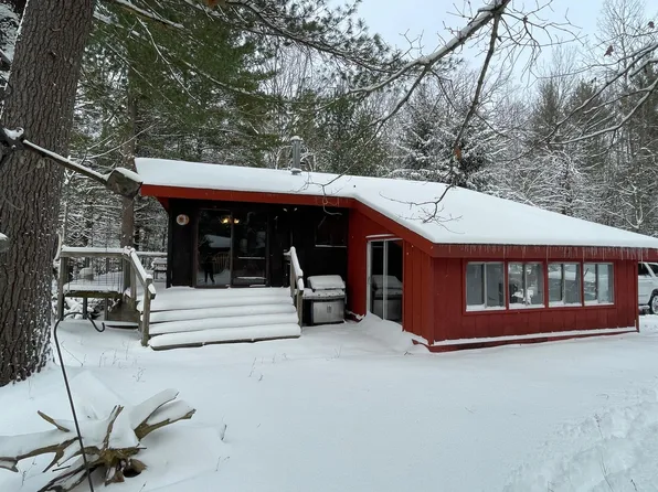 9463 E Pomeroy Springs Rd, Irons, MI 49644