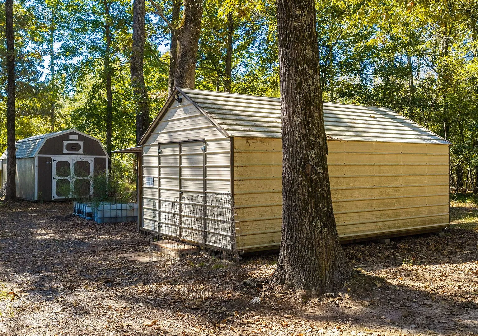 Country Living! Charming 3BR Home on 30+ Acres — Photo 4