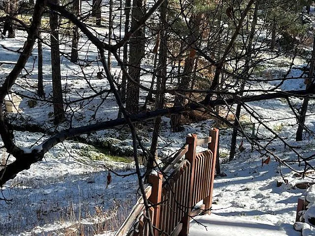 101 Wiley Rd — Photo 12
