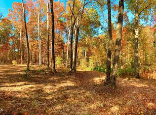 215 Memory Ln, Grandview, TN 37337