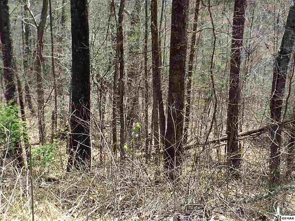 5th image of 0 Green Top Rd Lot 6 & 10