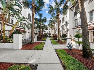 613 Casabella Cir, Tampa, FL, 33609