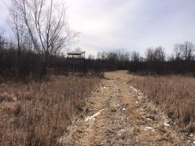 Ut Rd #599, Swatara, MN, 55785