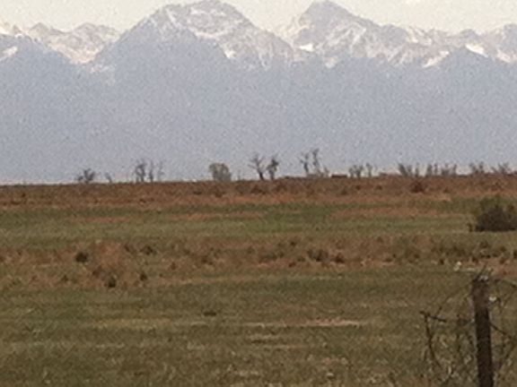 View to the East