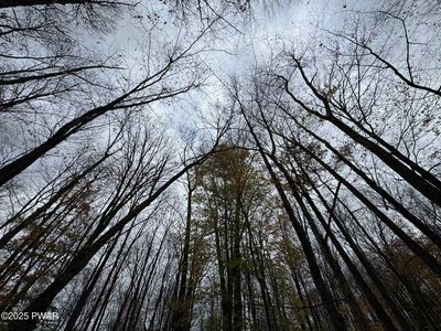 14 Hemlock Ln, Lake Ariel, PA, 18436