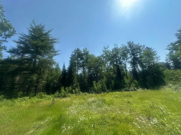 4204 Hegemann Rd, Conover, WI 54519