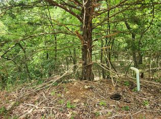 L-67 Impa Cir #B, Cherokee Village, AR 72529