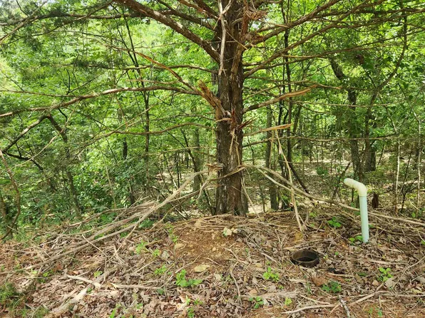 L-67 Impa Cir #B, Cherokee Village, AR 72529