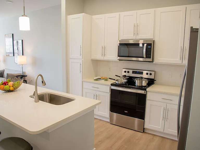 9505 Silver Collection Cir — Photo 8