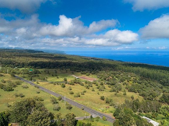 3rd image of Pua Ohia Pl