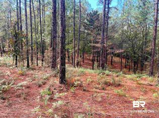 0 State Highway 225, Bay Minette, AL 36507
