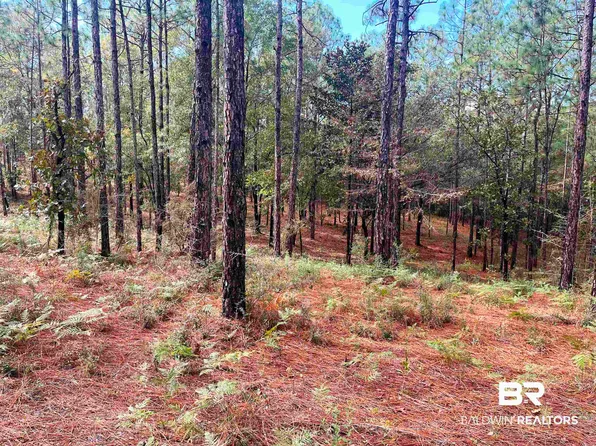0 State Highway 225, Bay Minette, AL 36507