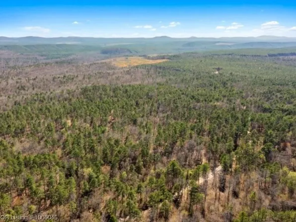 3 Plunketville Rd, Watson, OK 74963