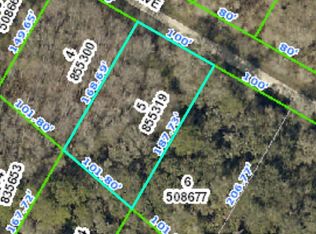 0 Northwest Ave, Webster, FL 33597