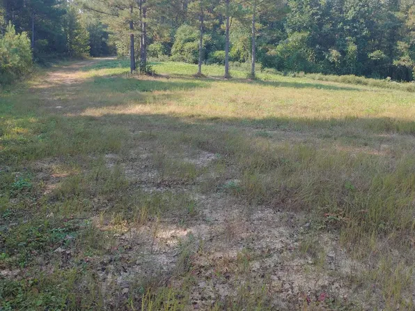 8100 McKesie St, Riverside, AL 35135