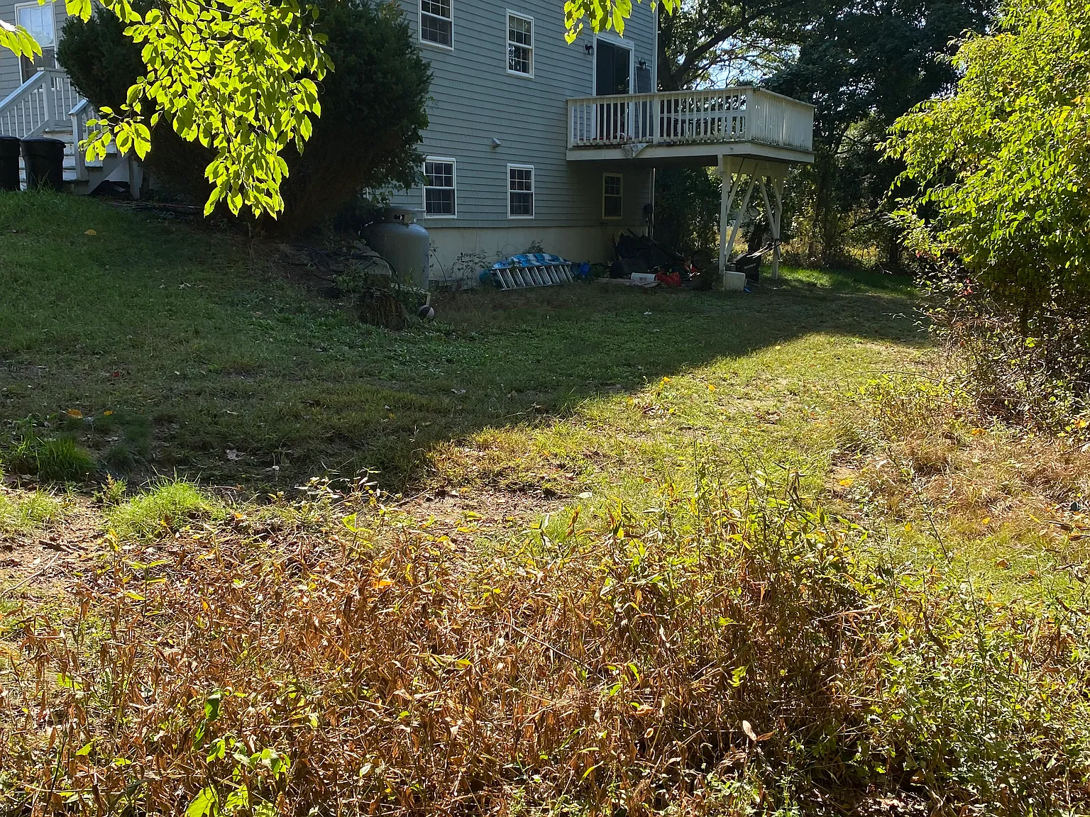 31 Central Ave — Photo 3