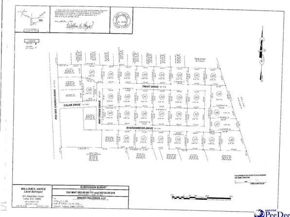 Tbd_ Pee Dee Church Rd, Dillon, SC 29536