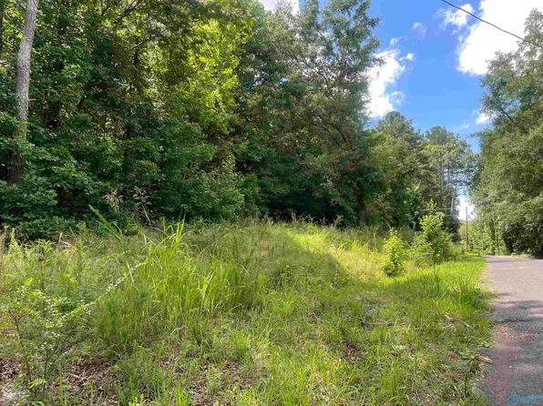 895 County Road 205, Centre, AL 35960