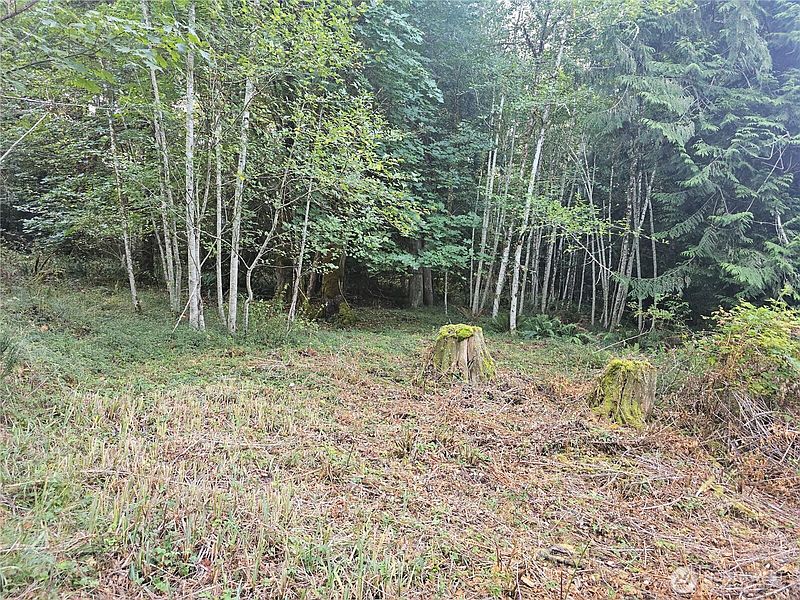 4th image of 2540 xxx E North Island Drive