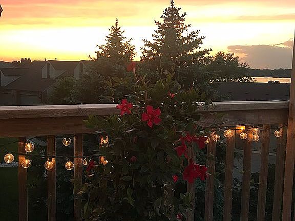 Evenings on the deck