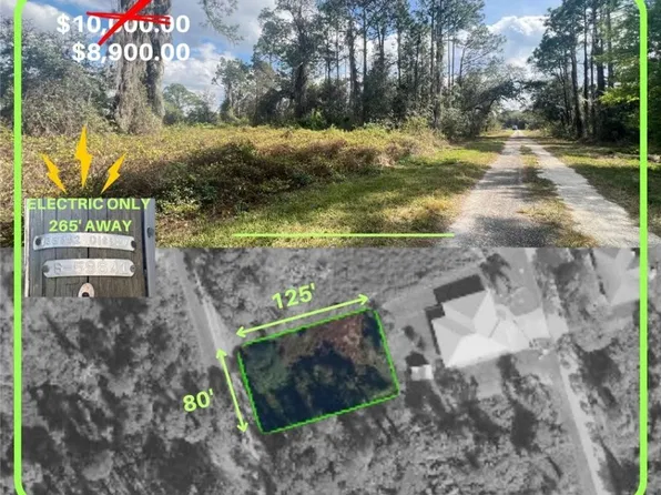 1049 Redbird St, Lake Placid, FL 33852
