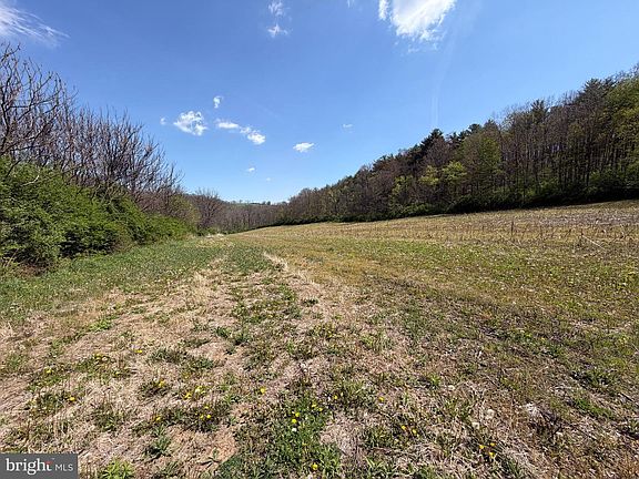 5th image of TRACT 4 3999/ Acres Un