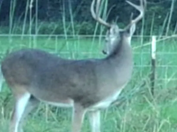 12 Fm 1848, Buffalo, TX 75831