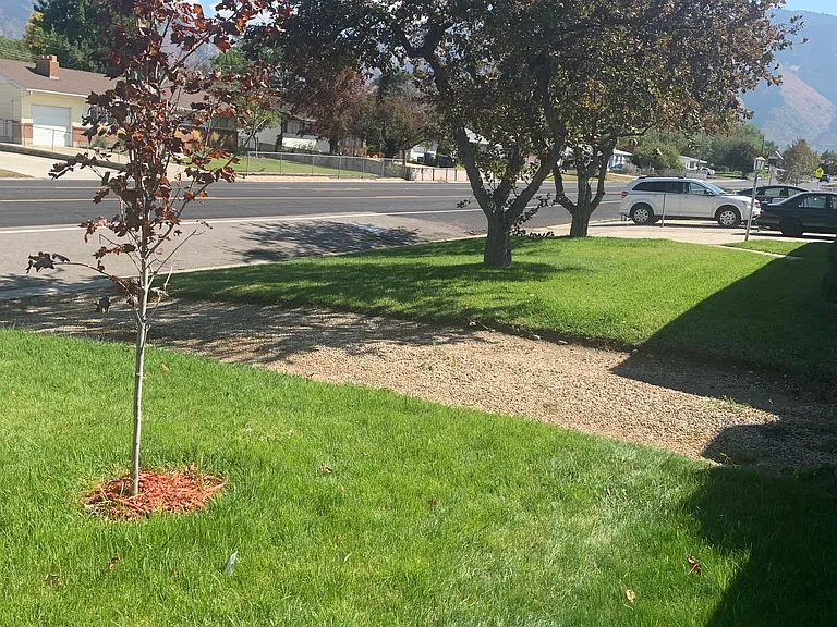 9902 S Sego Lily Dr E — Photo 20