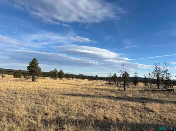 20 Acres Falls Creek Meadow County Rd #A16c, Las Vegas, NM 87701