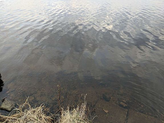 5th image of 21526 N Shore Dr