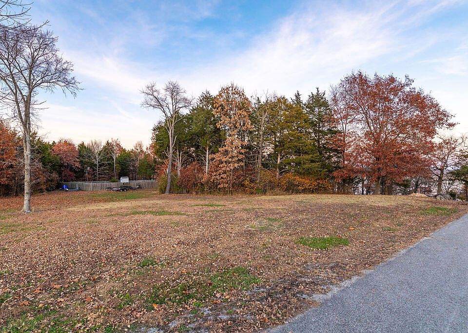 1 Merlot Cir, Lampe, MO 65681 MLS 60207978 Zillow