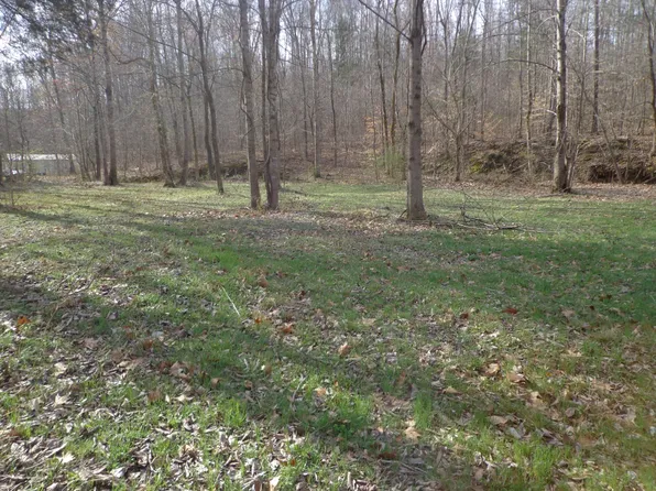 0 Ennis Branch Rd, Mc Ewen, TN 37101