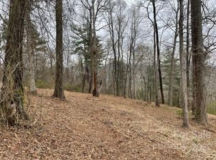 LOT 4 Wadsworth Pl, Asheville, NC 28805