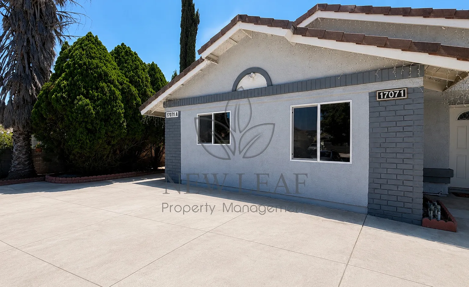 1 bed, 650 sqft, $1,800 — Photo 2