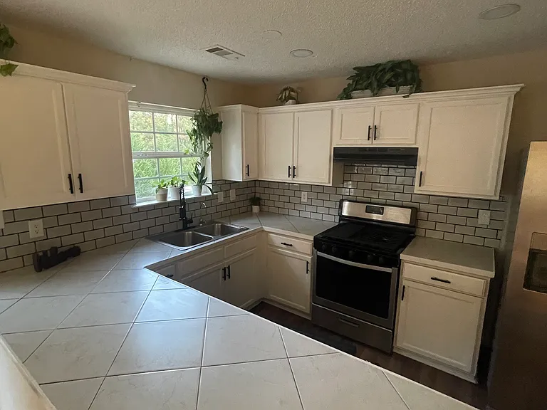 209 Plantation Trl — Photo 3