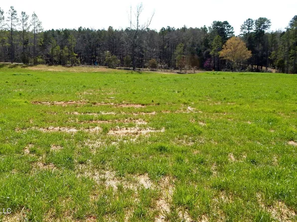 4 Graysport Crossing Rd #4, Gore Springs, MS 38929