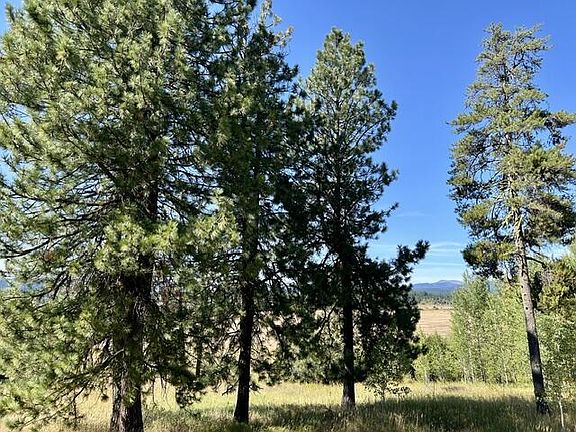 3rd image of 34 Wood Run Trl