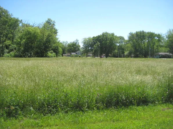 LOT 6 N Walker St, Braidwood, IL 60408