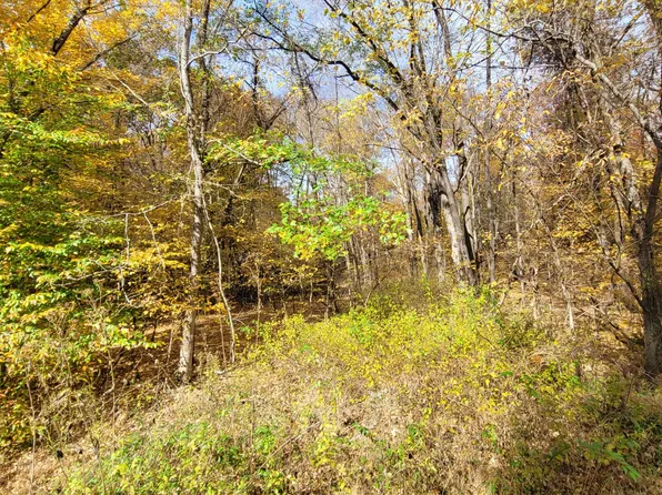 408 Leatherwood Lake Rd, Stewart, TN 37175