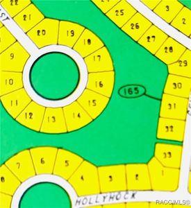 46 Birchtree St, Homosassa, FL, 34446