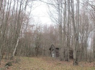 113 Arthur Ln, Jefferson, NY 12093